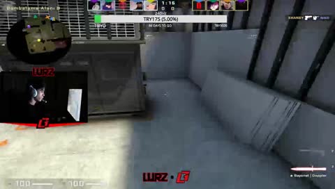 nasıl bunny yapılır