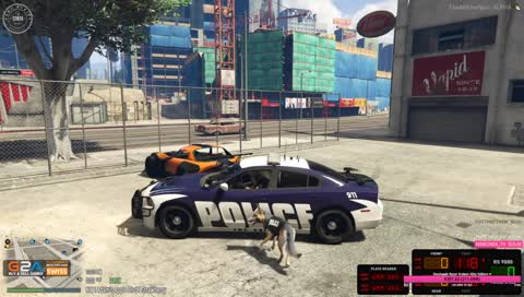 RIVOR MASZ SMAKOŁYKA DLA PIESKA? XDD 