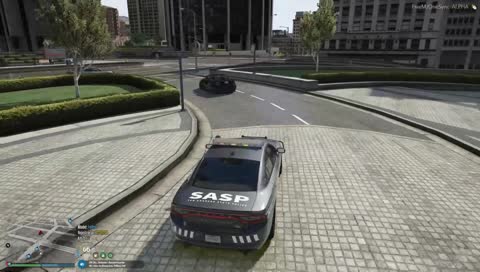 No i pyk, dachowanko