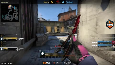 Kjaerbye - 1vs2 clutch (T - post-plant situation)
