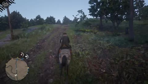 Zed essaye d'apprendre a voler