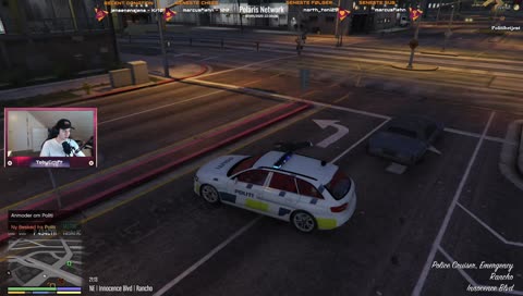 Jeg vidste ikke at hunde kunne spille rp.