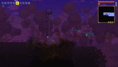 The entire group dies