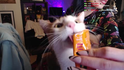 nomnomnomnom