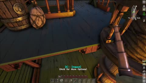 Pirate's Consolation