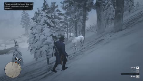 nana attempts to tame a horse