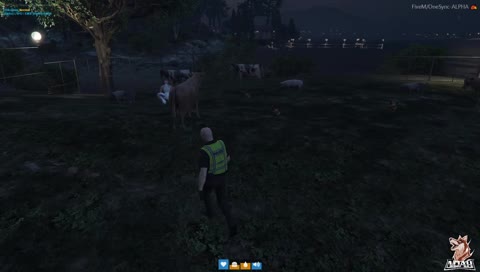 โจรปล้นใจ