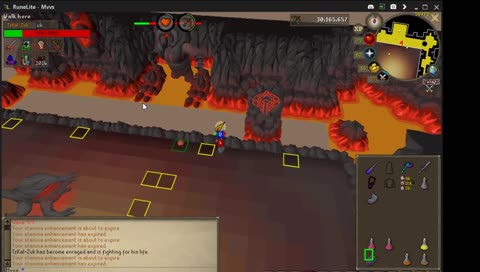 Zuk #10