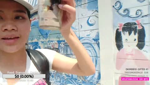 Stepping on dog poop!