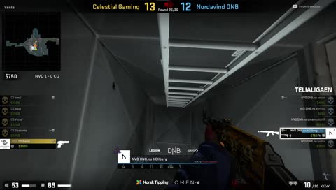 o.o