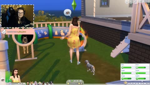 hond gaat op bakkes