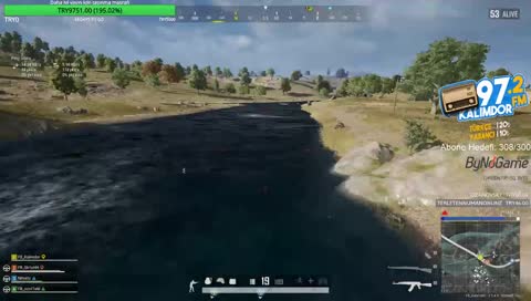 şiş flyby