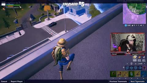 katt som springer och kasity blir knockad