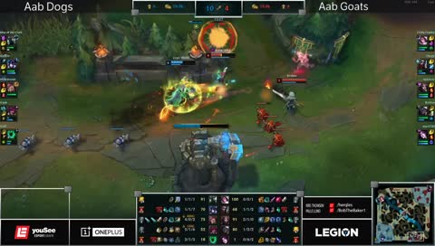 ekko er sej