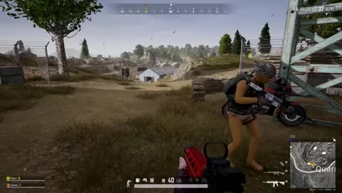 Når slambz styrer svinet