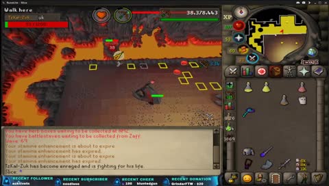 THE PET!