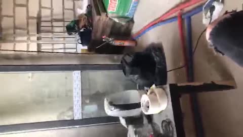 ЩА рулетик захаваем