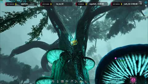 لاااااعععععع