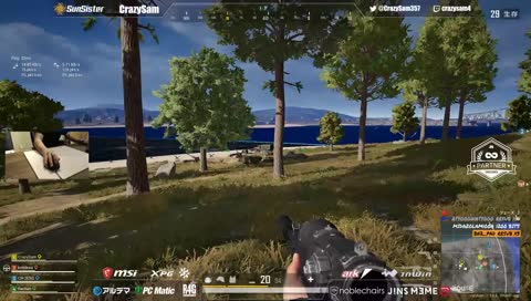 車に轢かれたふぃあちゃんw