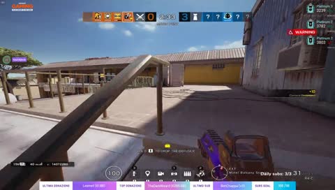 [F] lo scoiattolo lion