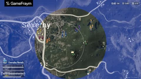 Suicide