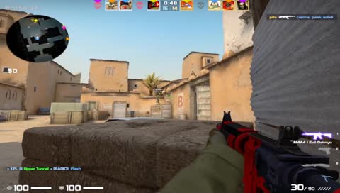 loplololASDASDASDASD