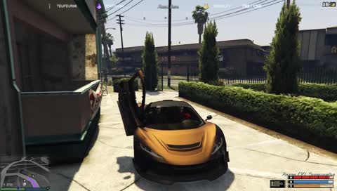 Le retour de Momo ! Il est pas prêt ! X)