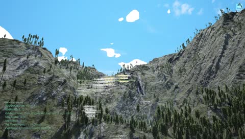 Galli Girl in the Galli World