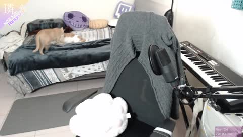 床咚