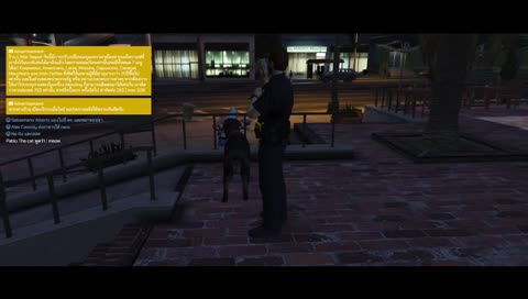 เนโร เจอ แมวครั้งแรก