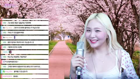 트수랑 랜선 벚꽃 데이트중