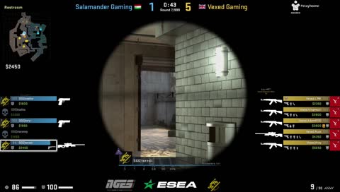torzsi 4k awp