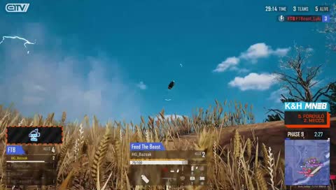 molotov
