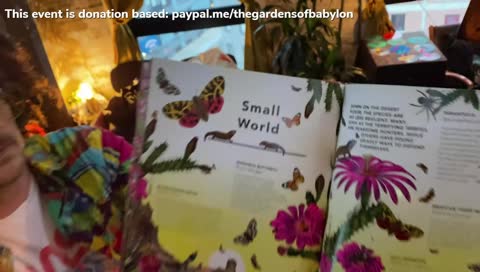 Some flora and fauna in the Gardens of Babylon