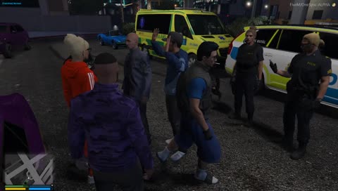 "hunden gillar gris"