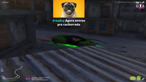 o cachorrao chegoooooo