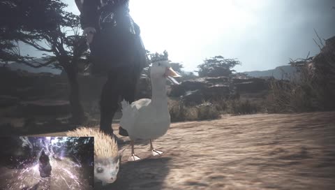 QUACK