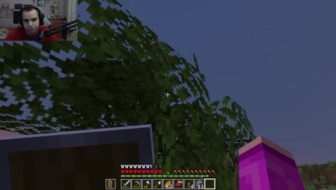 1. strom PagChomp