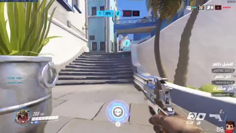 الراين المحشش