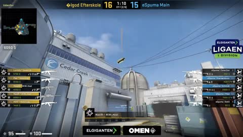 Flick 2