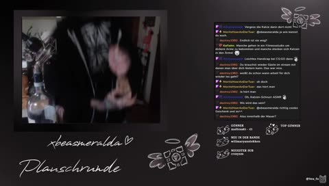 spot the jealous cat