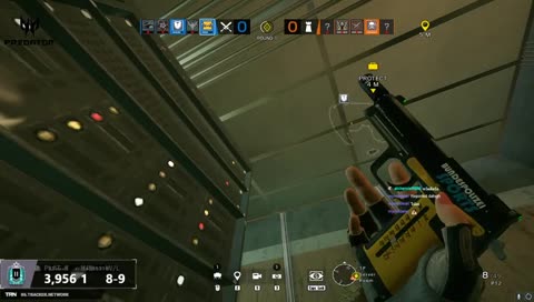 INSANE !