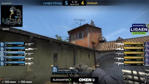 birdfromsky med 4k på bananen