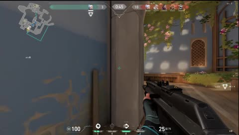 ACE