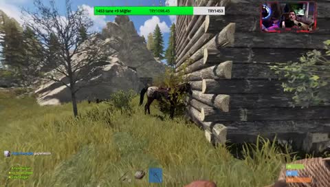 At hırısızı neco