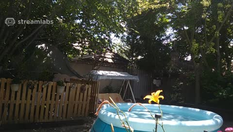 ááááááááááá 