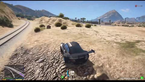 從天而降的老鷹???