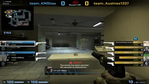 d0g ez