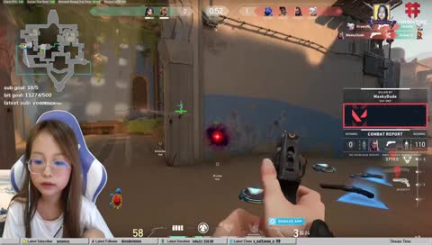Flook main Raze