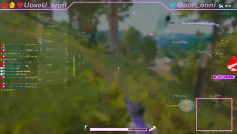 PUBGプロ大犯罪の瞬間 & ストリーマーの母親からの忠告